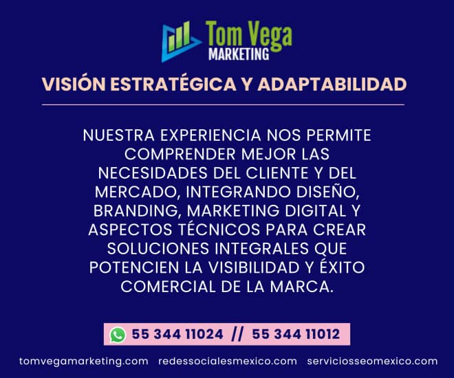 diseño paginas web guadalajara